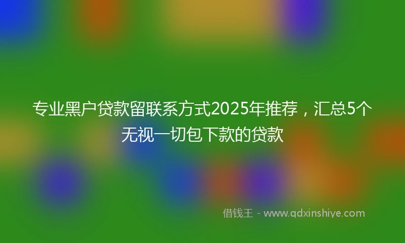 专业黑户贷款留联系方式2025年推荐，汇总5个无视一切包下款的贷款