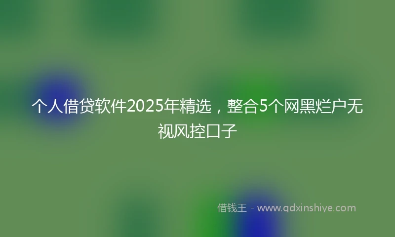 个人借贷软件2025年精选，整合5个网黑烂户无视风控口子