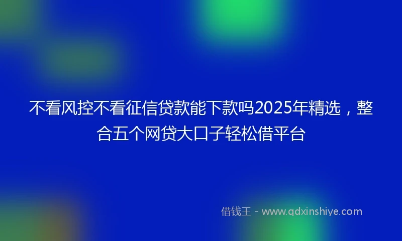 不看风控不看征信贷款能下款吗2025年精选，整合五个网贷大口子轻松借平台