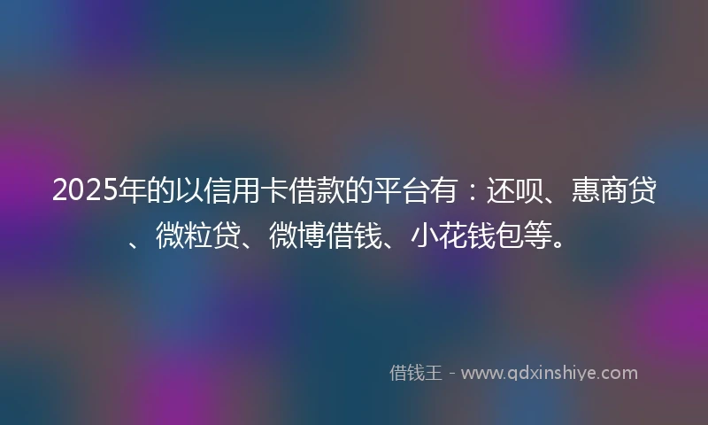 2025年的以信用卡借款的平台有：还呗、惠商贷、微粒贷、微博借钱、小花钱包等。