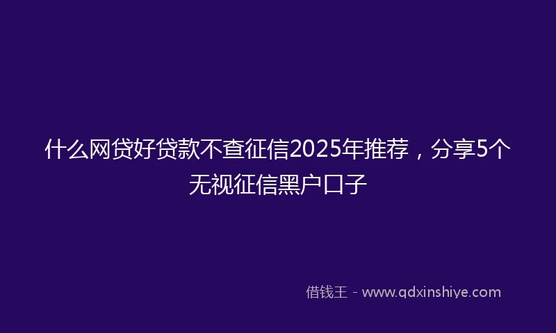 什么网贷好贷款不查征信2025年推荐，分享5个无视征信黑户口子