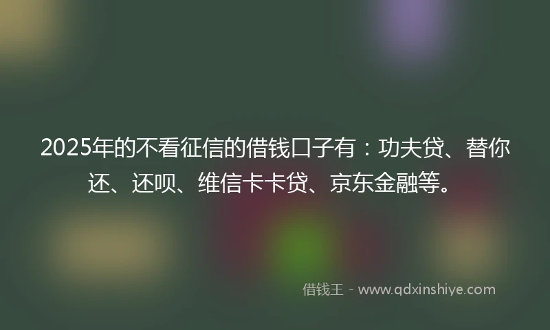 2025年的不看征信的借钱口子有：功夫贷、替你还、还呗、维信卡卡贷、京东金融等。