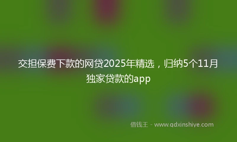 交担保费下款的网贷2025年精选，归纳5个11月独家贷款的app