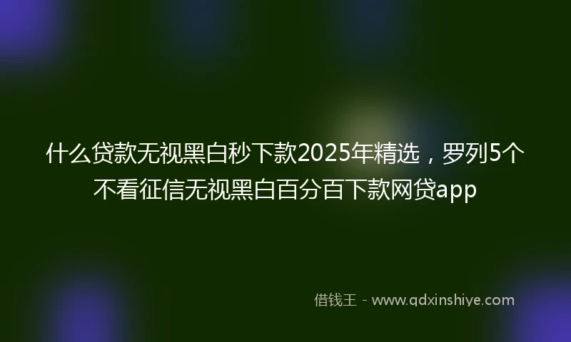 什么贷款无视黑白秒下款2025年精选，罗列5个不看征信无视黑白百分百下款网贷app