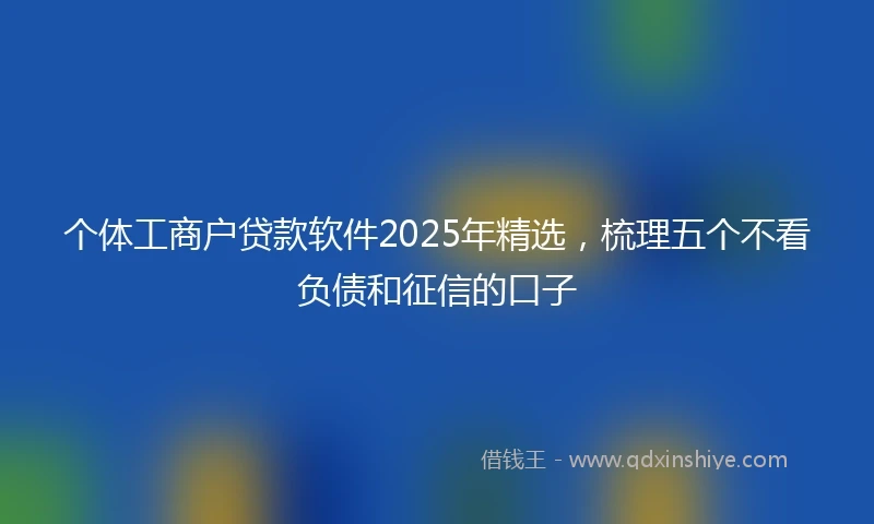 个体工商户贷款软件2025年精选，梳理五个不看负债和征信的口子