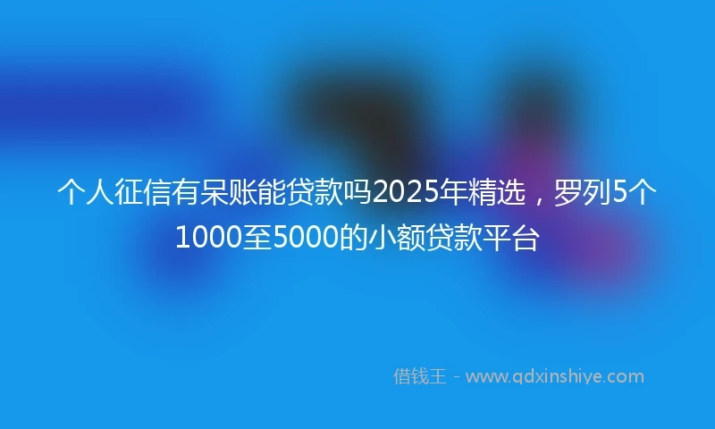个人征信有呆账能贷款吗2025年精选，罗列5个1000至5000的小额贷款平台