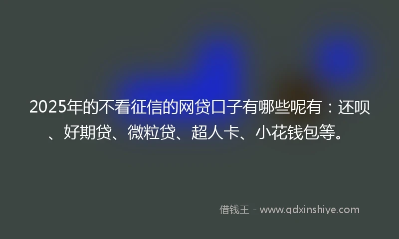 2025年的不看征信的网贷口子有哪些呢有：还呗、好期贷、微粒贷、超人卡、小花钱包等。