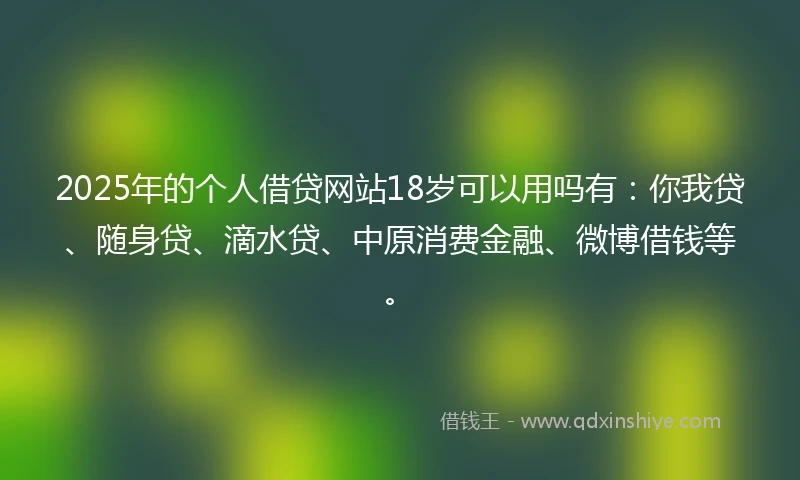 2025年的个人借贷网站18岁可以用吗有：你我贷、随身贷、滴水贷、中原消费金融、微博借钱等。