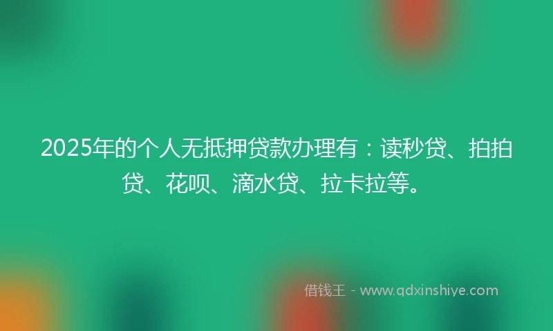 2025年的个人无抵押贷款办理有：读秒贷、拍拍贷、花呗、滴水贷、拉卡拉等。