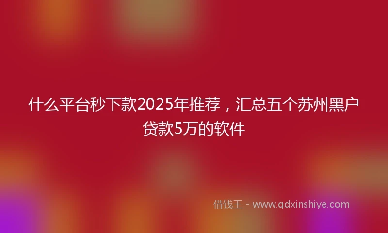 什么平台秒下款2025年推荐，汇总五个苏州黑户贷款5万的软件