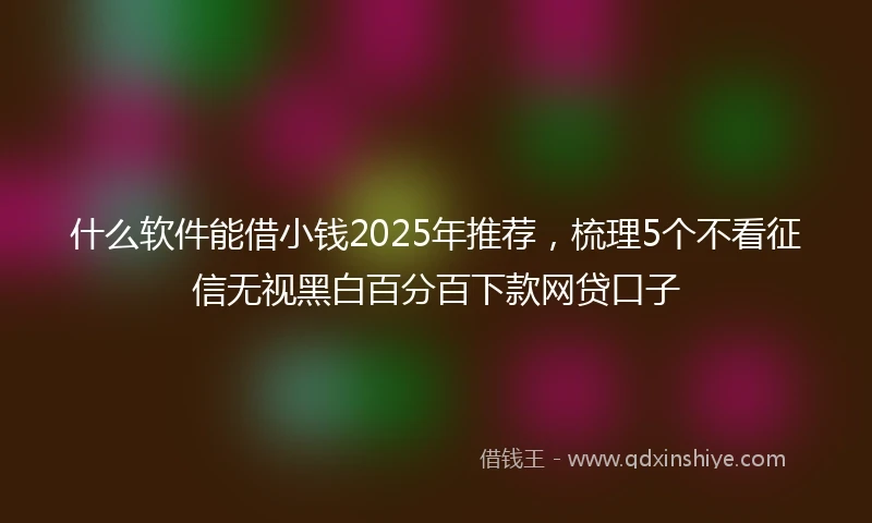 什么软件能借小钱2025年推荐，梳理5个不看征信无视黑白百分百下款网贷口子