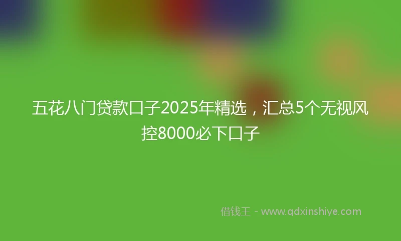 五花八门贷款口子2025年精选，汇总5个无视风控8000必下口子