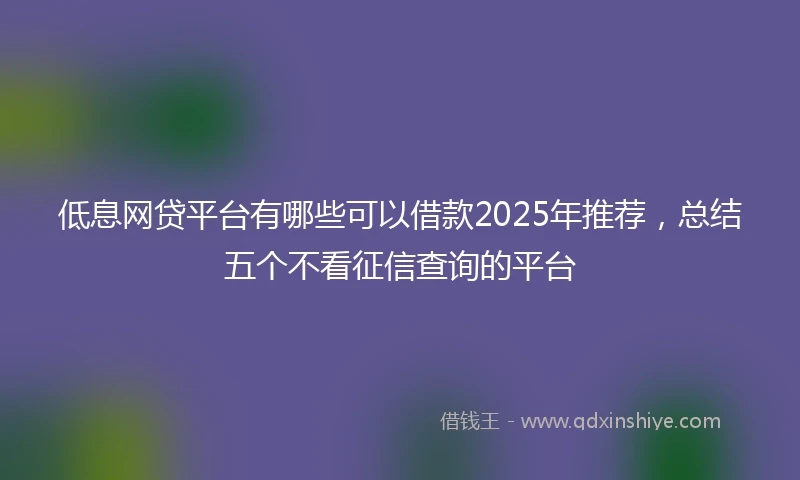 低息网贷平台有哪些可以借款2025年推荐，总结五个不看征信查询的平台