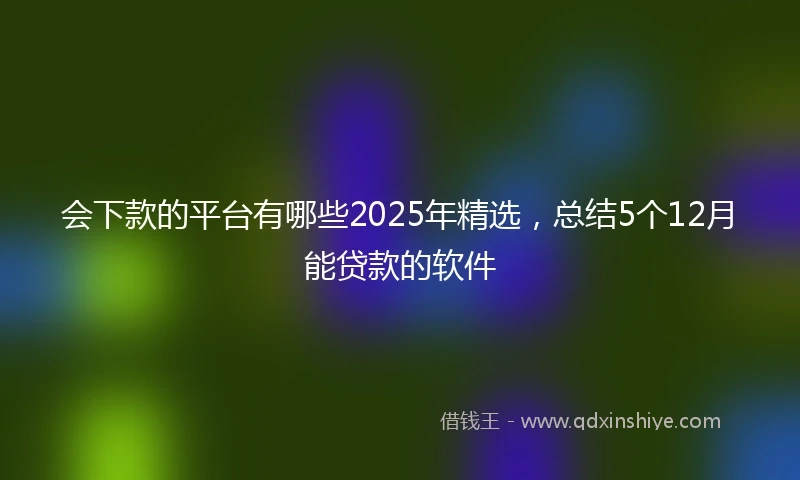 会下款的平台有哪些2025年精选，总结5个12月能贷款的软件