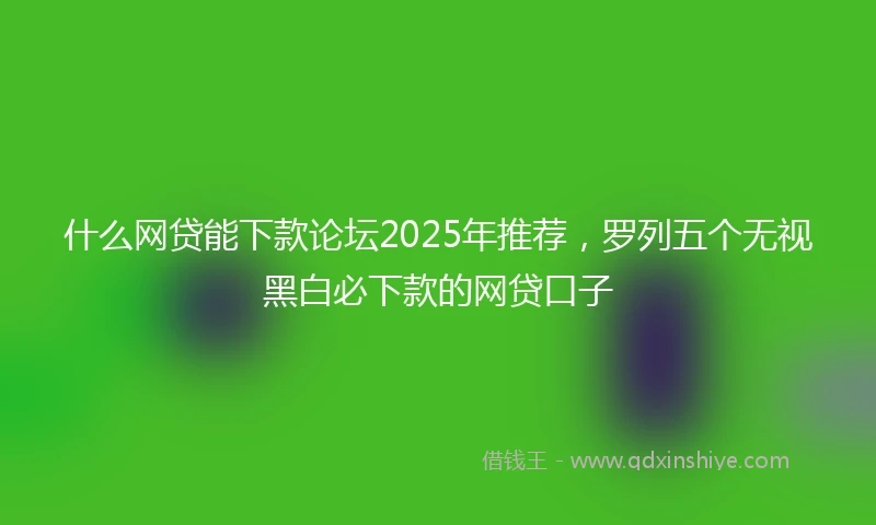 什么网贷能下款论坛2025年推荐，罗列五个无视黑白必下款的网贷口子