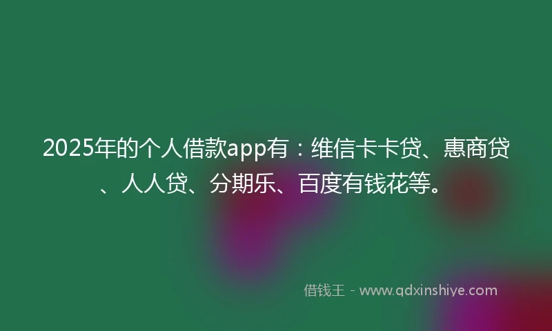 2025年的个人借款app有：维信卡卡贷、惠商贷、人人贷、分期乐、百度有钱花等。