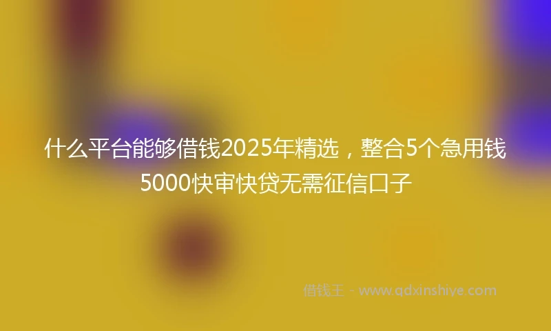 什么平台能够借钱2025年精选，整合5个急用钱5000快审快贷无需征信口子