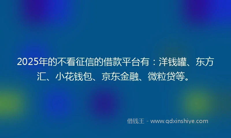 2025年的不看征信的借款平台有：洋钱罐、东方汇、小花钱包、京东金融、微粒贷等。