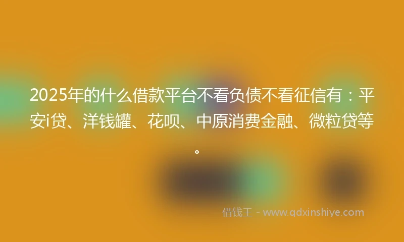 2025年的什么借款平台不看负债不看征信有：平安i贷、洋钱罐、花呗、中原消费金融、微粒贷等。