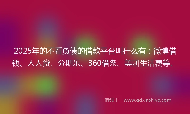 2025年的不看负债的借款平台叫什么有：微博借钱、人人贷、分期乐、360借条、美团生活费等。