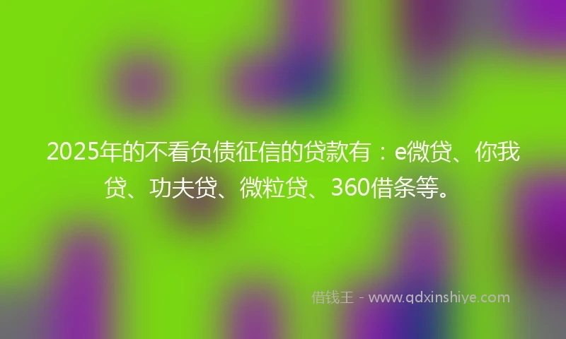 2025年的不看负债征信的贷款有：e微贷、你我贷、功夫贷、微粒贷、360借条等。