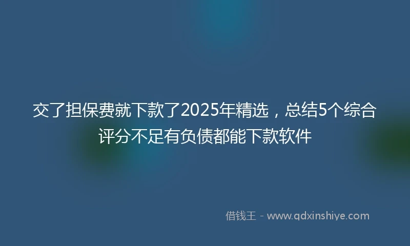 交了担保费就下款了2025年精选，总结5个综合评分不足有负债都能下款软件