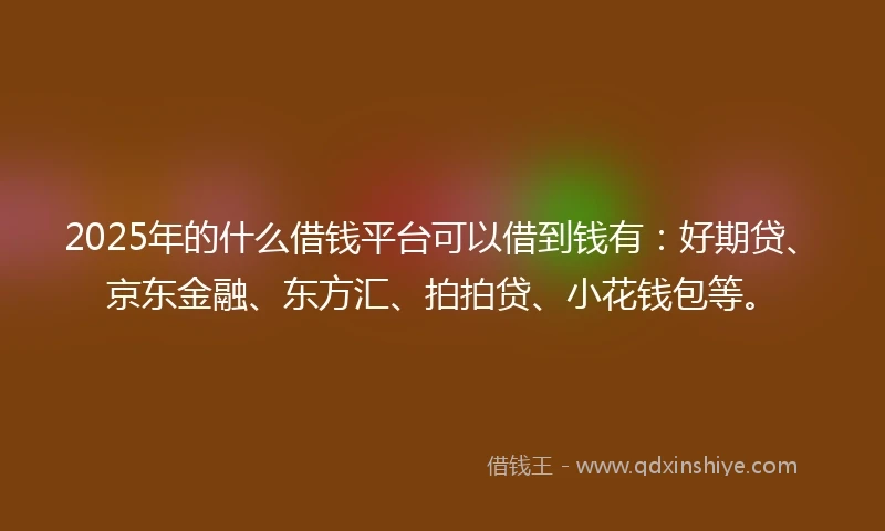 2025年的什么借钱平台可以借到钱有：好期贷、京东金融、东方汇、拍拍贷、小花钱包等。