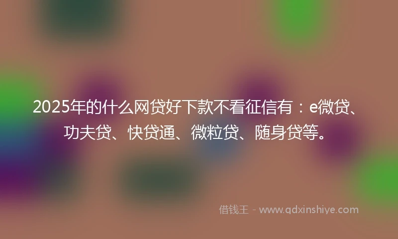 2025年的什么网贷好下款不看征信有：e微贷、功夫贷、快贷通、微粒贷、随身贷等。