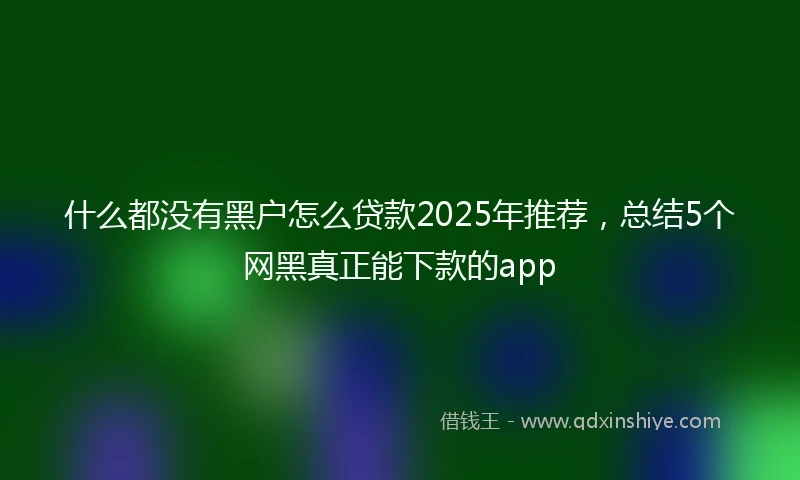 什么都没有黑户怎么贷款2025年推荐，总结5个网黑真正能下款的app