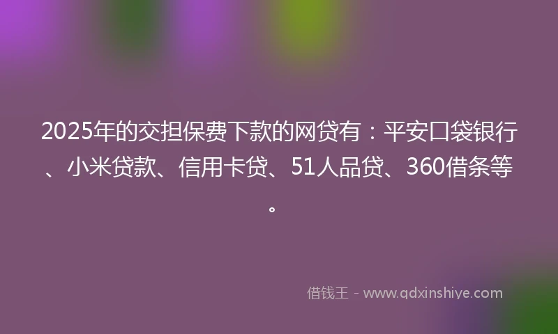 2025年的交担保费下款的网贷有：平安口袋银行、小米贷款、信用卡贷、51人品贷、360借条等。