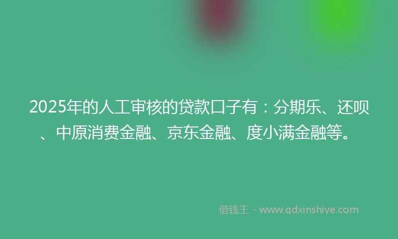 2025年的人工审核的贷款口子有：分期乐、还呗、中原消费金融、京东金融、度小满金融等。