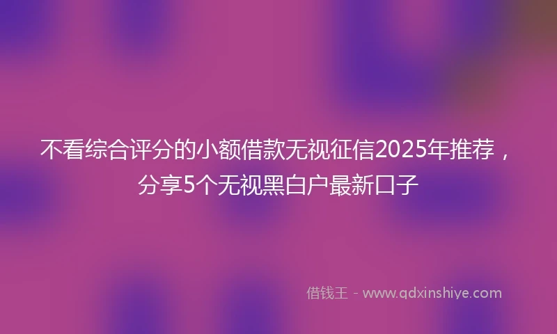 不看综合评分的小额借款无视征信2025年推荐，分享5个无视黑白户最新口子