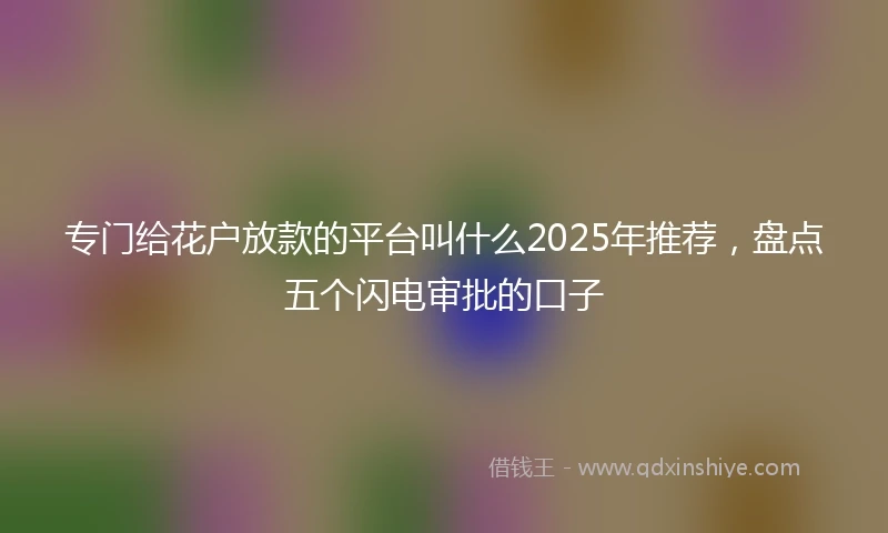 专门给花户放款的平台叫什么2025年推荐，盘点五个闪电审批的口子
