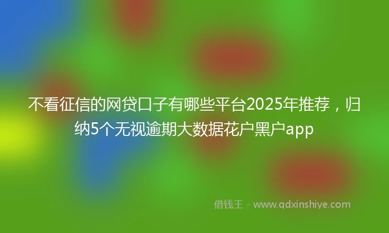 不看征信的网贷口子有哪些平台2025年推荐，归纳5个无视逾期大数据花户黑户app