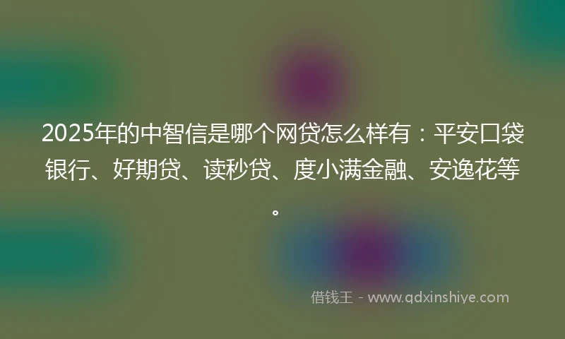 2025年的中智信是哪个网贷怎么样有：平安口袋银行、好期贷、读秒贷、度小满金融、安逸花等。