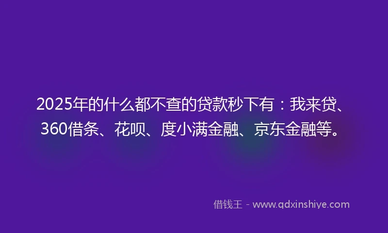 2025年的什么都不查的贷款秒下有：我来贷、360借条、花呗、度小满金融、京东金融等。