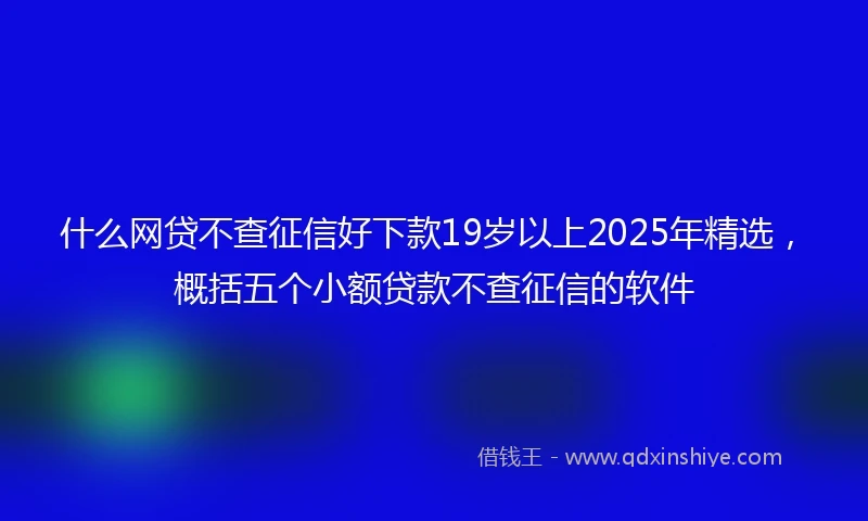 什么网贷不查征信好下款19岁以上2025年精选，概括五个小额贷款不查征信的软件