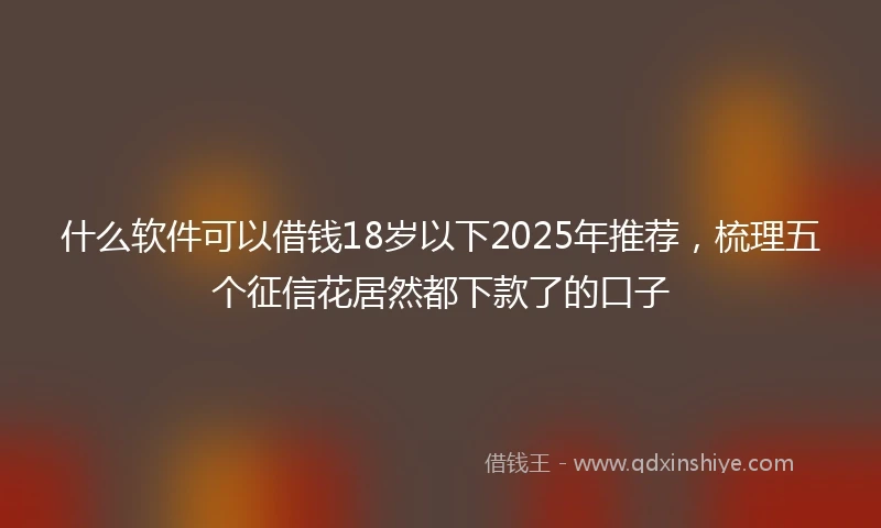 什么软件可以借钱18岁以下2025年推荐，梳理五个征信花居然都下款了的口子