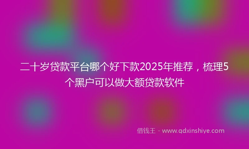 二十岁贷款平台哪个好下款2025年推荐，梳理5个黑户可以做大额贷款软件