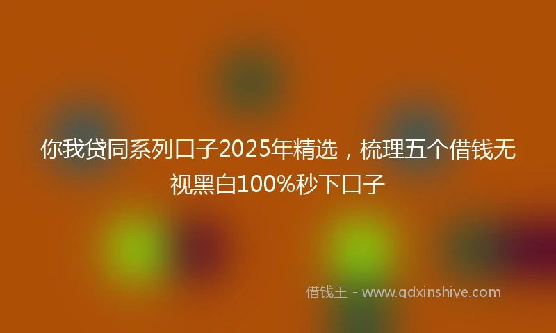 你我贷同系列口子2025年精选，梳理五个借钱无视黑白100%秒下口子