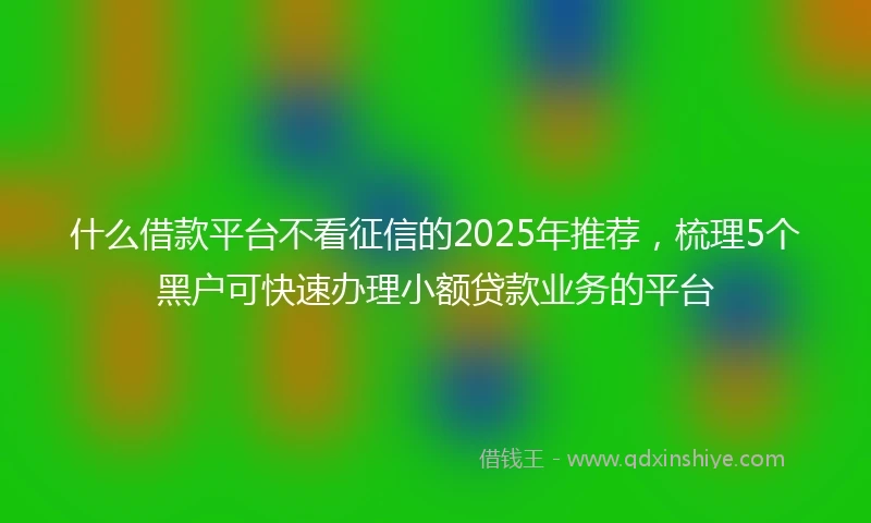 什么借款平台不看征信的2025年推荐，梳理5个黑户可快速办理小额贷款业务的平台