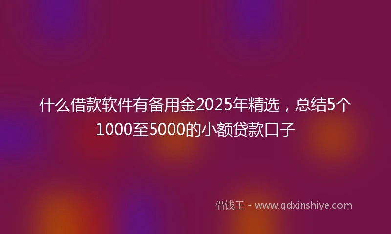 什么借款软件有备用金2025年精选，总结5个1000至5000的小额贷款口子