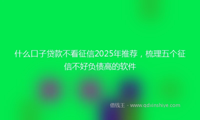 什么口子贷款不看征信2025年推荐，梳理五个征信不好负债高的软件