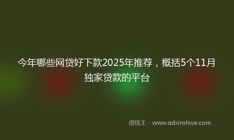 今年哪些网贷好下款2025年推荐，概括5个11月独家贷款的平台