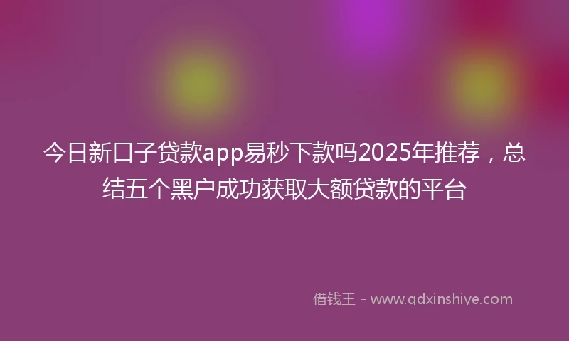 今日新口子贷款app易秒下款吗2025年推荐，总结五个黑户成功获取大额贷款的平台