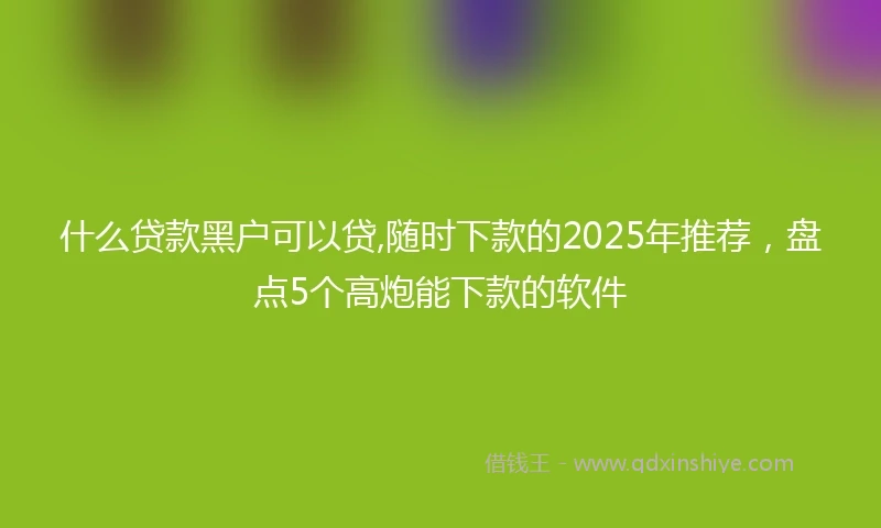 什么贷款黑户可以贷,随时下款的2025年推荐，盘点5个高炮能下款的软件