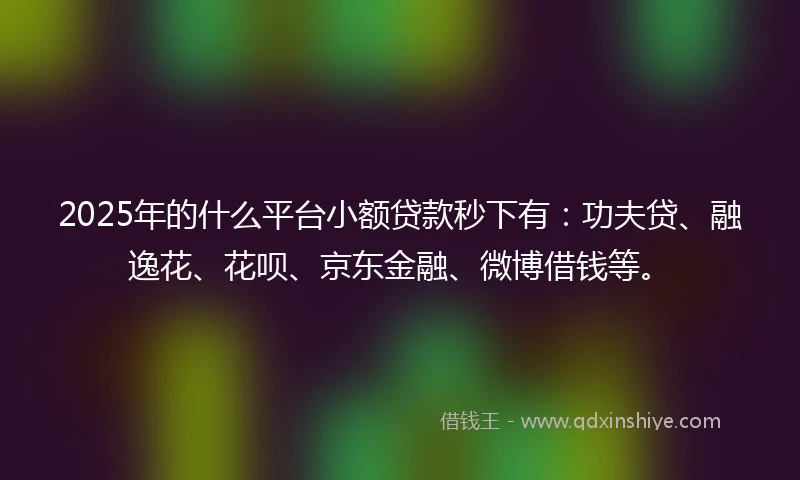 2025年的什么平台小额贷款秒下有：功夫贷、融逸花、花呗、京东金融、微博借钱等。