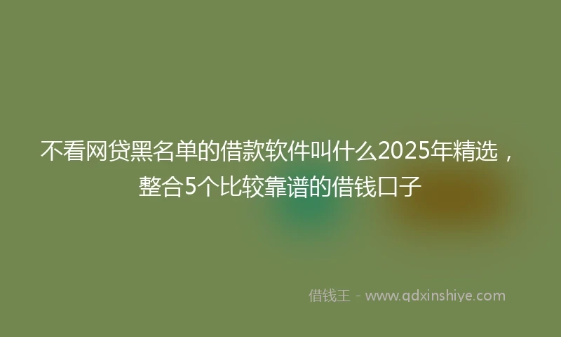 不看网贷黑名单的借款软件叫什么2025年精选，整合5个比较靠谱的借钱口子