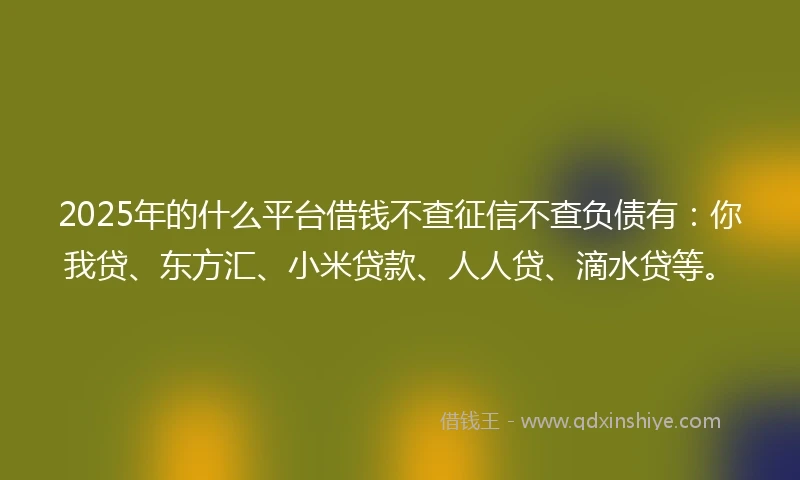 2025年的什么平台借钱不查征信不查负债有：你我贷、东方汇、小米贷款、人人贷、滴水贷等。