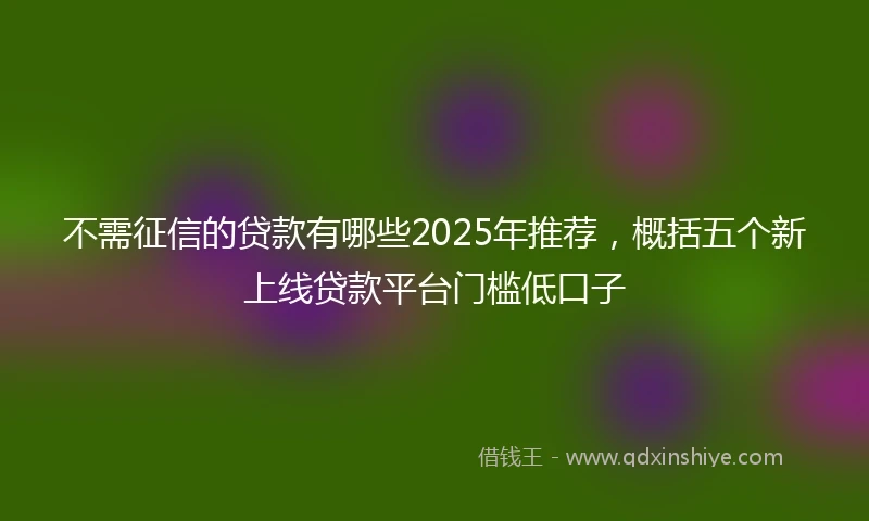 不需征信的贷款有哪些2025年推荐，概括五个新上线贷款平台门槛低口子